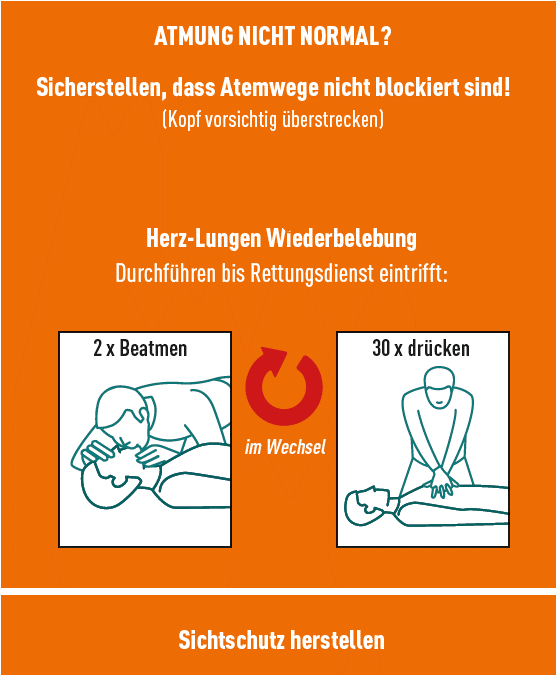 Ist die Atmung nicht normal? Dann sicherstellen, dass die Atemwege nicht blockiert sind, indem der Kopf vorsichtig überstreckt wird.
Anschließend Herz-Lungen-Wiederbelebung durchführen bis der Rettungsdienst eintrifft: 2 Mal beatmen im Wechsel mit 30 Mal drücken.
Sichtschutz herstellen.
