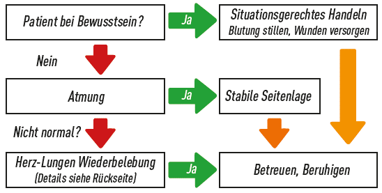 Ist der Patient bei Bewusstsein? 
Falls ja: Situationsgerechtes Handeln (Blutung stillen, Wunden versorgen) und anschließend betreuen und beruhigen.
Falls nein und er atmet: Stabile Seitenlage und anschließend betreuen und beruhigen.
Falls nein und er nicht normal atmet: Herz-Lungen-Wiederbelebung und anschließend betreuen und beruhigen.
